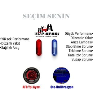 1. Tur Rota ve Tarihleri (Şubat/Mart 2025)