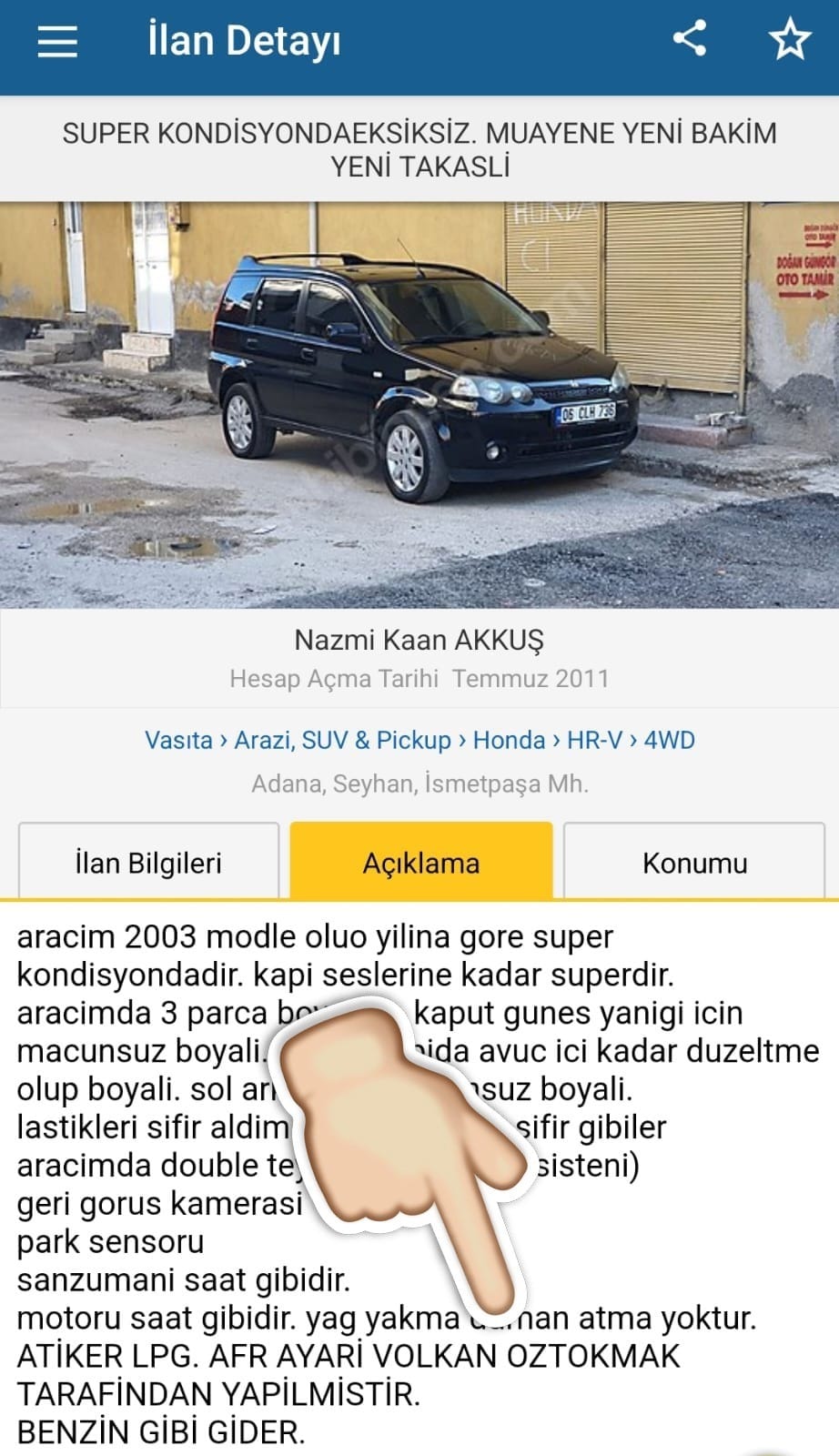 ilan (13)