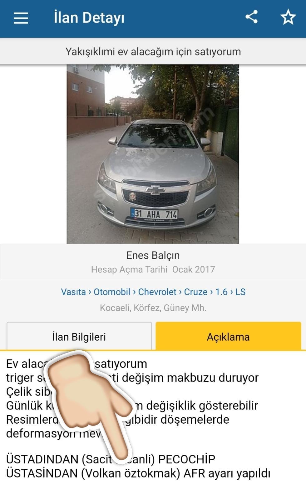ilan (15)