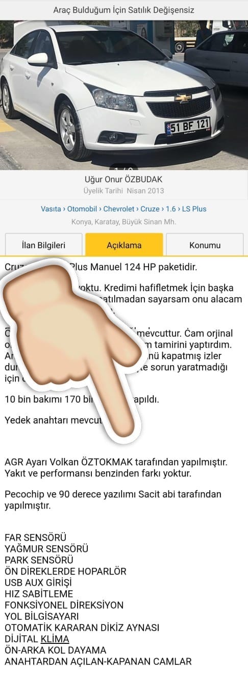 ilan (18)