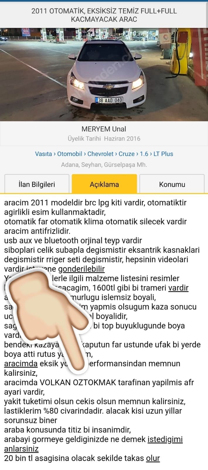 ilan (26)