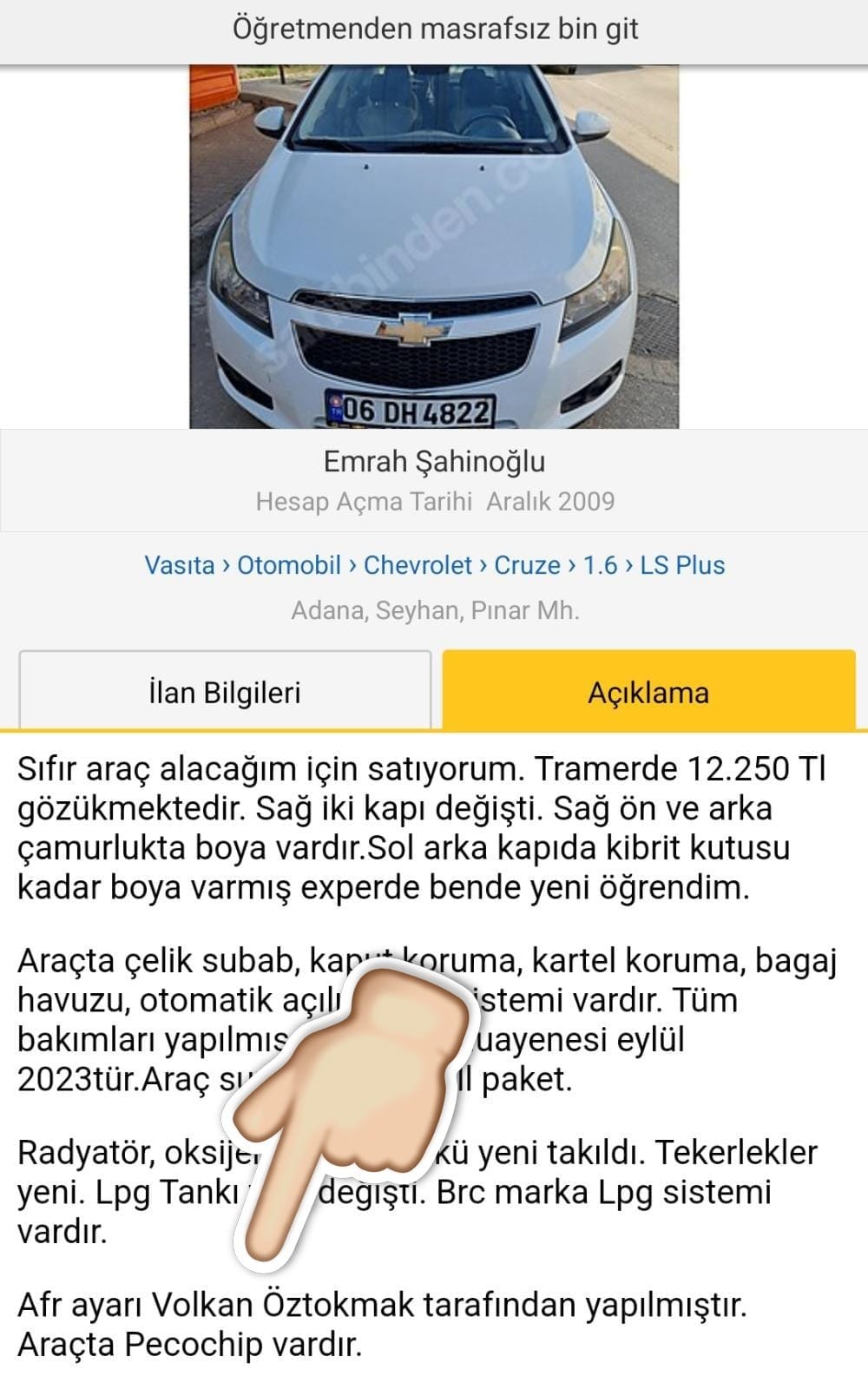 ilan (31)