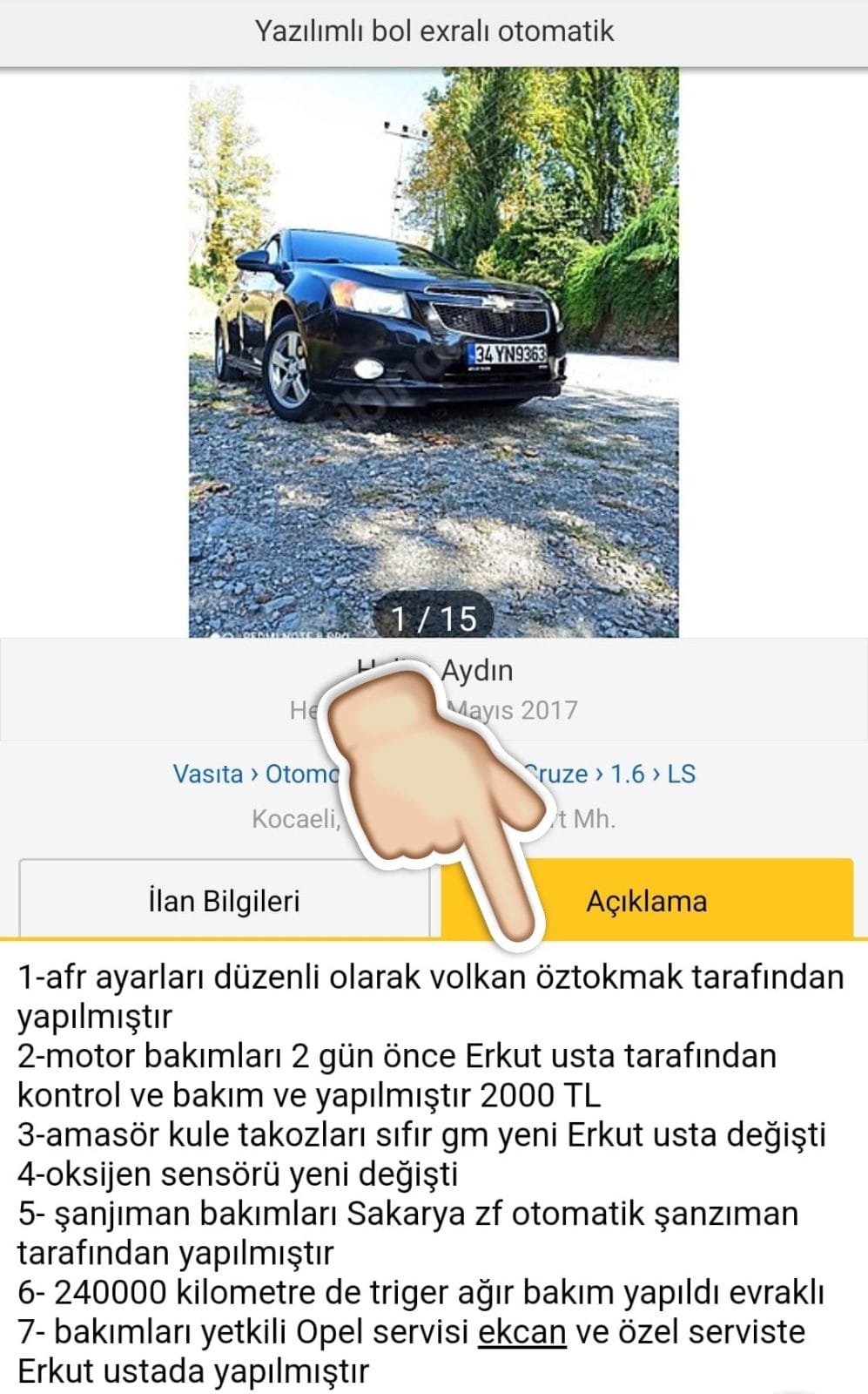 ilan (36)